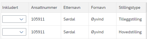 Bildet viser ansatte med flere stillinger som må vurderes per stilling.
