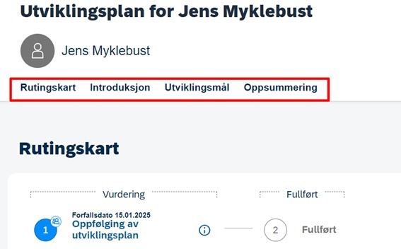 Oversikt skjemaet utviklingsplan