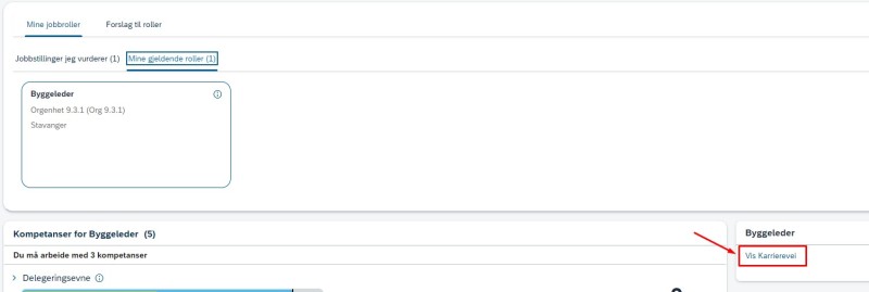 Vis karrierevei gjeldende rolle