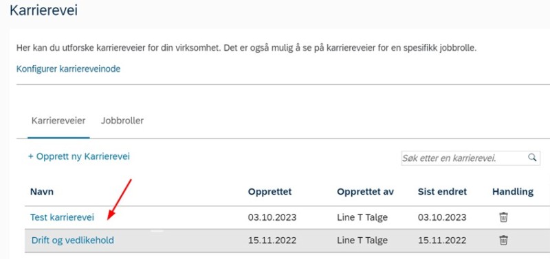 oversikt karriereveier