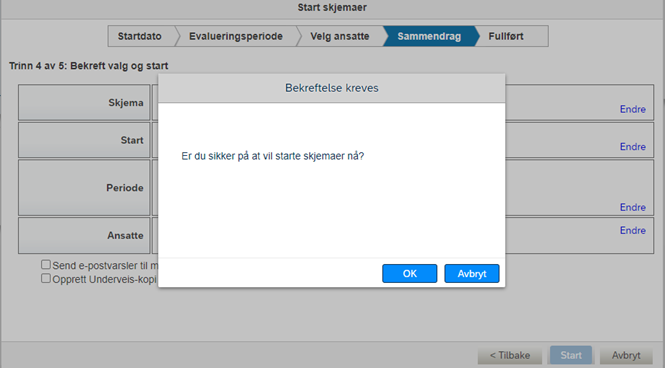 Skjermbilde av bekreftelse for start skjema