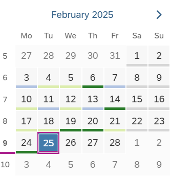 Screenshot of a calendar. 