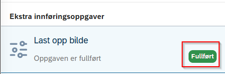 Skjermbilde av oppslastet bilde. 