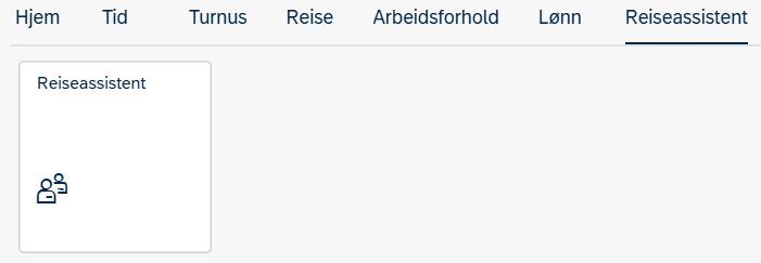 Bildet viser flisen reiseassistent under fanen reiseassistent