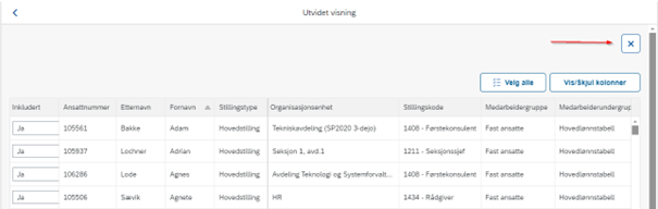Bildet viser lukk vindu knapp