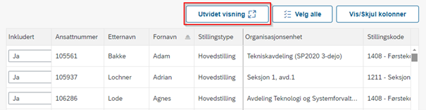 Bildet viser utvidet visning