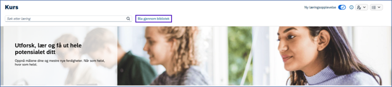 Bildet viser et skjermbilde fra systemløsningen DFØ HR.