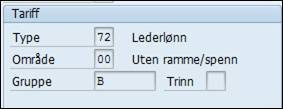 bildet viser it0008