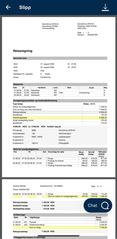 Bildet viser oversikt over reiseregningen i PDF-format.