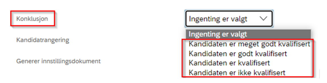 Skjermbilde viser feltet "konklusjon" som viser hvilke valgmuligheter som er tilgjengelige for vurdering av kandidaten 