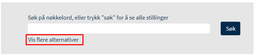 Skjermbilde som viser søk-funksjonen og at du kan legge inn flere detaljer under "vis flere alternativer"