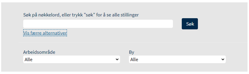 Skjermbilde som viser hvordan søk-funksjonen ser ut med et tekstfelt, og et felt for flere alternativer hvor du kan legge inn mer detaljer.