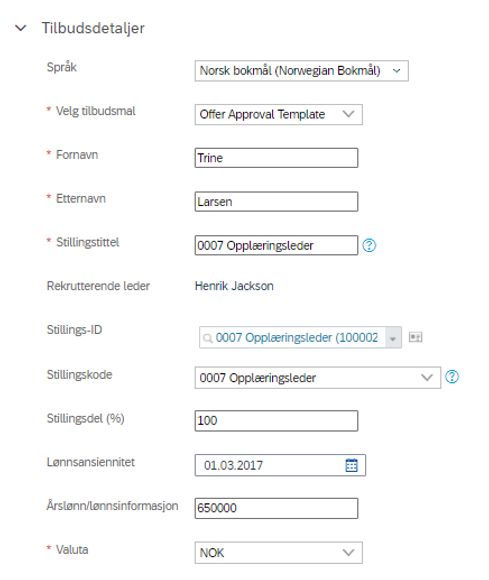 Skjermbilde viser en oversikt over informasjonen som er lagt inn som tilbudsdetaljer