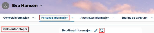 personprofil - bankkontodetaljer