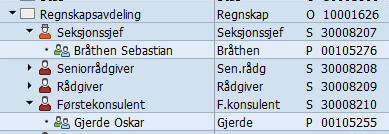 Bildet er et utklipp fra PPOSE i SAP hvor du kan se nærmeste leder.