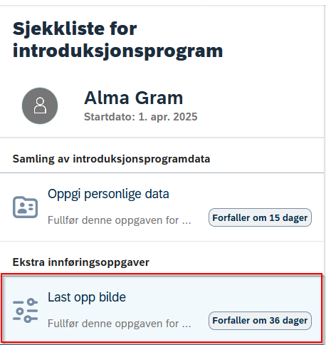 Skjermbilde av sjekkliste for introduksjonsprogram. 