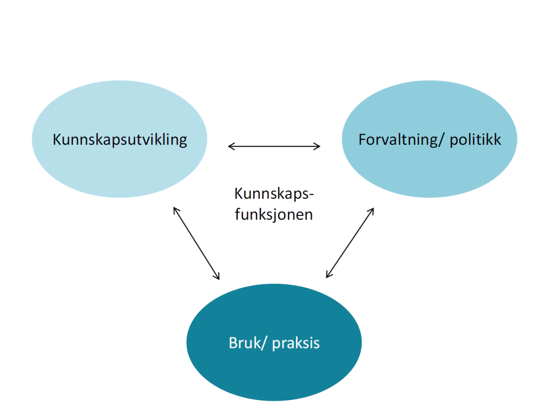 Figuren viser en visualisering av kunnskapsfunksjonen med en tredelelig interaksjon med kunnskapsutvikling, forvaltning/politikk og bruk/praksis.