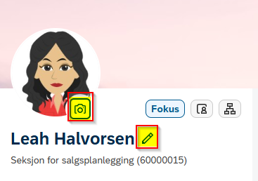 Viser kameraikon for profilbilde og blyantikon for selvbeskrivelse