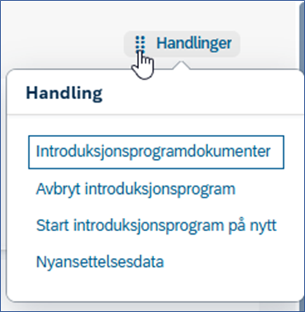 Bildet viser et skjermbilde fra systemløsningen DFØ HR.