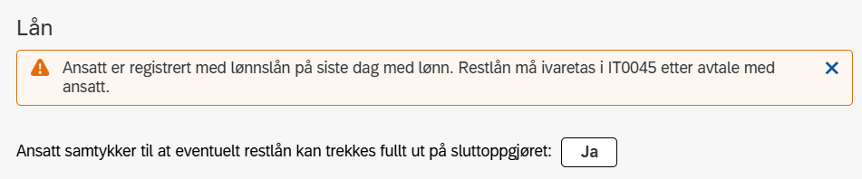 Bildet viser eksempel på visning av lån i skjemaet