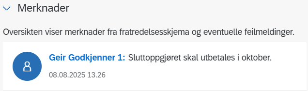 Bildet viser eksempel på merknader i skjemaet
