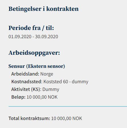 Skjermbildet viser betingelser i kontrakten.