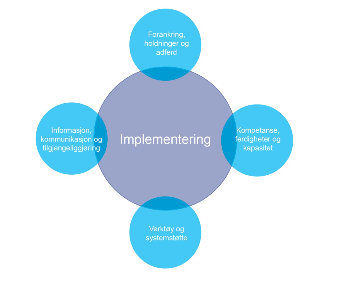Figur 15: Suksesskriterier for vellykket implementering.
