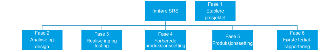 Figur over fasene i innføringen av peridisert regnskap.