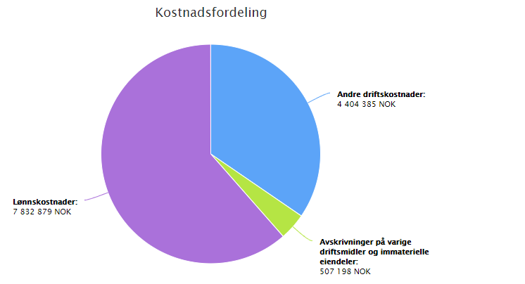 Sektordiagram av kostnadsfordeling med lønnskostnader som størst, deretter andre driftskostnader og tilslutt avskrivninger på varige driftsmidler og immatrielle eiendeler.